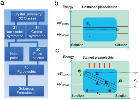 A The Relationship Between Piezoelectric Pyroelectric And