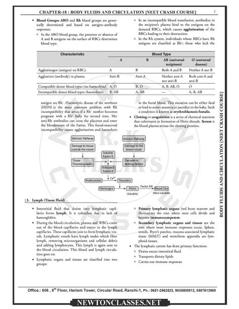 Solution 18 Body Fluids And Circulation Studypool