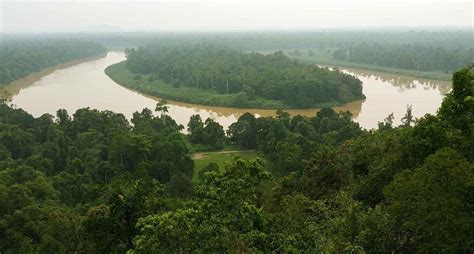 Kinabatangan River | Borneo Calling