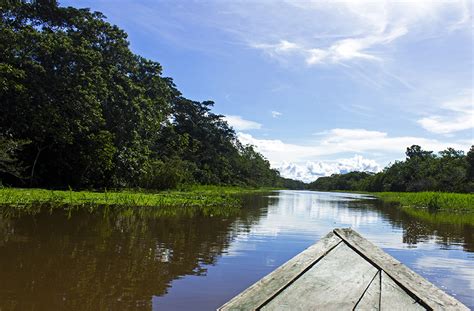 Amazonas Tribus Del Rio – Telegraph