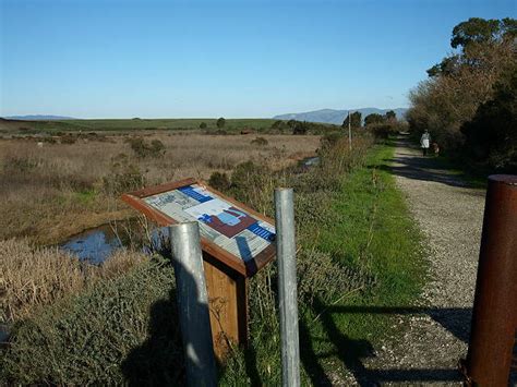 Palo Alto Baylands Preserve California