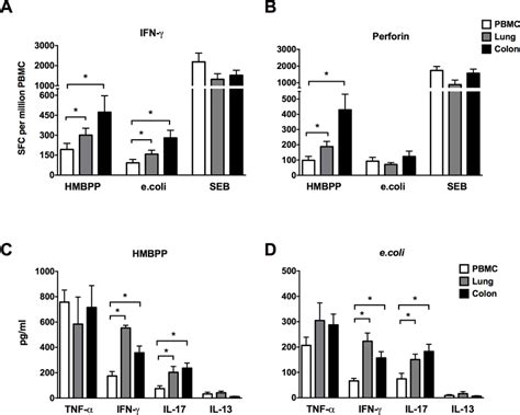 Innate CD161 T Cell Cytokine Secretion And Cytotoxic Response In Blood