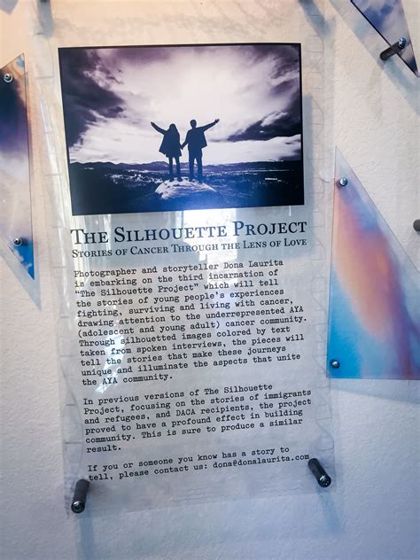 Lol — The Silhouette Project