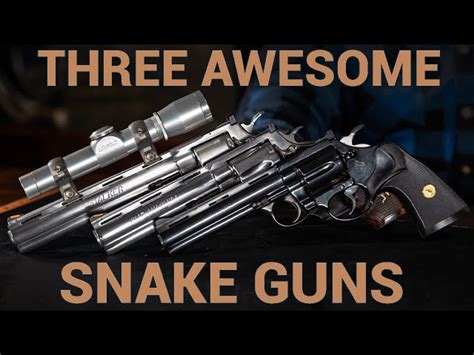 3 Rare and Amazing Colt Snake Guns :: Guns.com