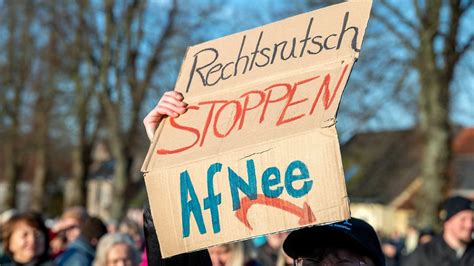 Keine Politik F R Kleine Leute Iw Konomische Pl Ne Der Afd K Nnten