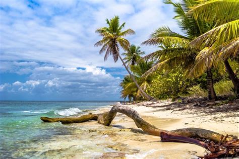 Tour Por Las Playas De Isla Saona Desde Punta Cana