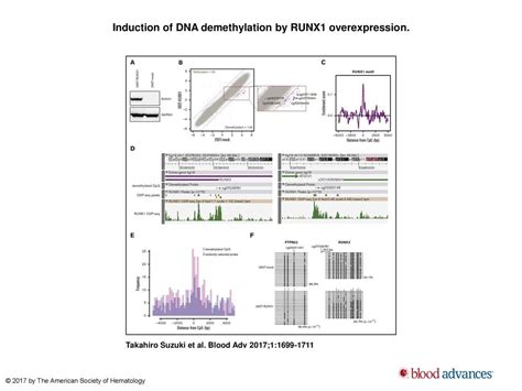 Runx Regulates Site Specificity Of Dna Demethylation By Recruitment Of