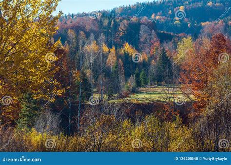 Autumn Carpathians Ukraine Stock Image Image Of Nature Scene