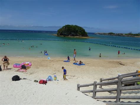 Okinawan Odyssey: Kadena Marina