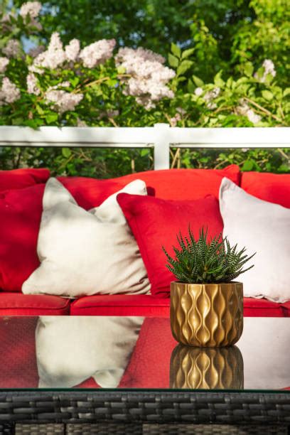 390+ Red Patio Cushions Stock Photos, Pictures & Royalty-Free Images ...