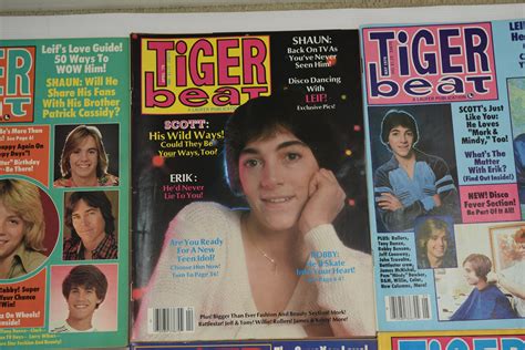 1979 Tiger Beat Magazines March April And May Issues Etsy