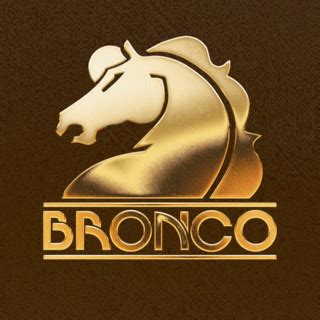 Bronco | Artist Analytics | Songstats