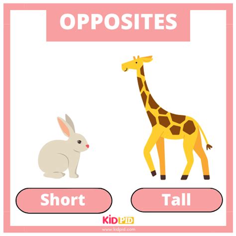 Learn Opposite Words Kidpid