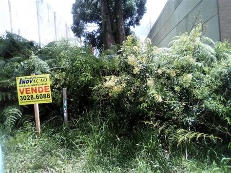 Terreno Cinqüentenário Caxias do Sul Terrenos sítios e fazendas