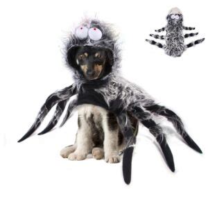 D Guisement Araign E Marron Pour Chien Et Chat Spider Shop