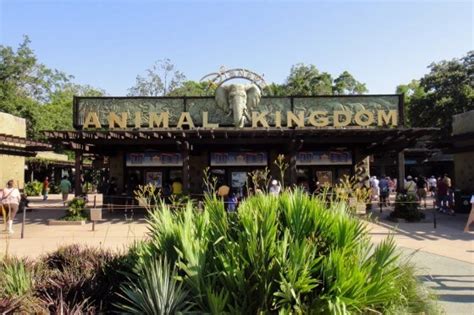 Photo Guide ... Getting to Disney's Animal Kingdom