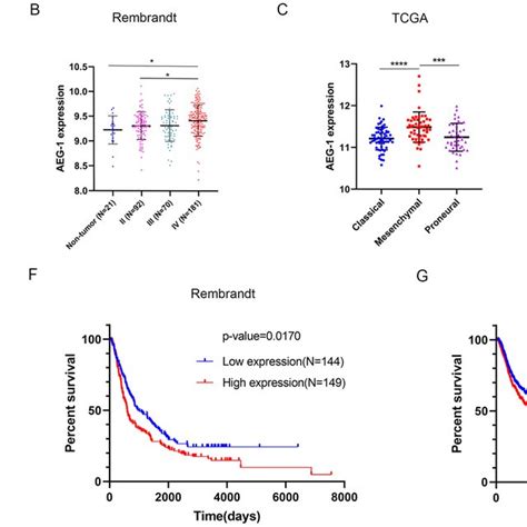 Correlation Between Aeg 1 Expression And Tumor Infiltrating Immune Download Scientific Diagram