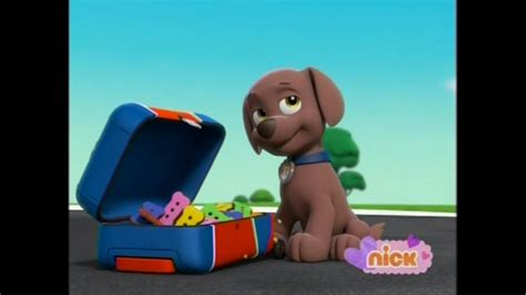 Zuma In Season 2 Paw Patrol Photo 40150898 Fanpop Page 58