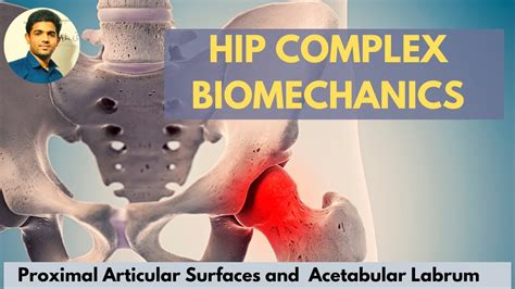 Hip Joint Articular Surface Acetabular Labrum Hip Complex