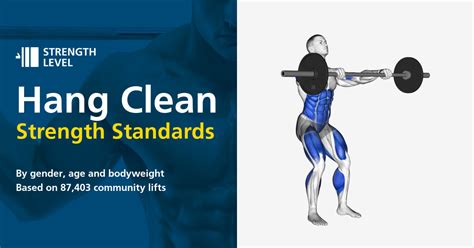 Hang Clean Standards For Men And Women Lb Strength Level