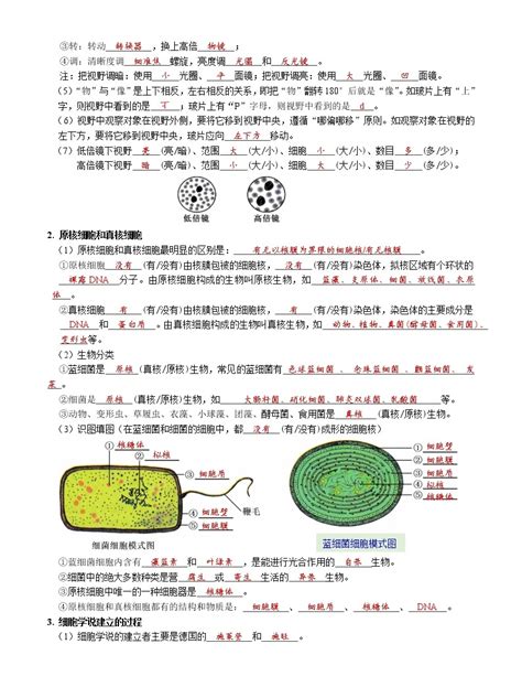 第1章 走近细胞 【必背知识】2021 2022学年高一生物章节知识梳理（人教版2019必修1）（含答案） 教习网课件下载