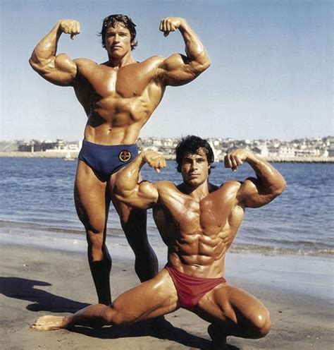 Lou Ferrigno Vs Arnold - Liqurus