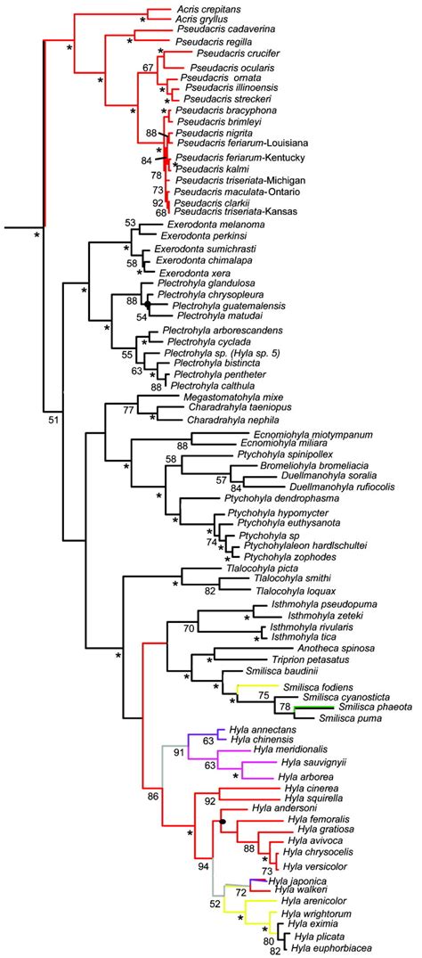 Evolutionary And Ecological Causes Of The Latitudinal Diversity