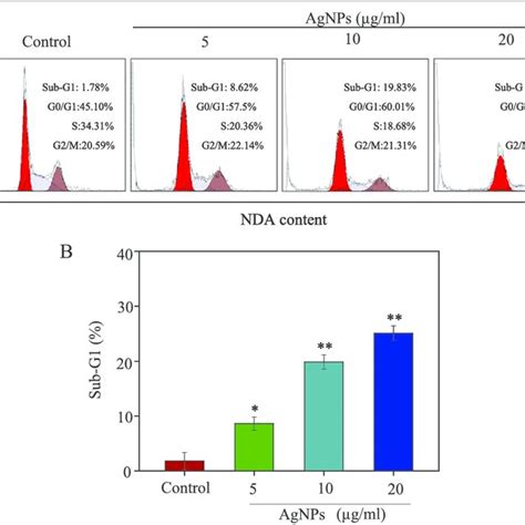 Growth Inhibition Agnps On Hepg Cells A Cell Viability Were Treated