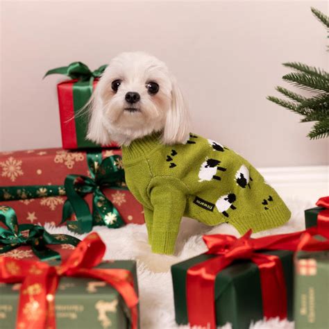 Winter Dog Clothes | Cozy Fleece, Sherpa, and Thermal Dog Winter Wear | Fitwarm