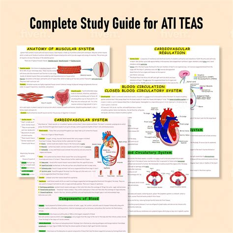 The Complete ATI TEAS 7 Study Guide Etsy