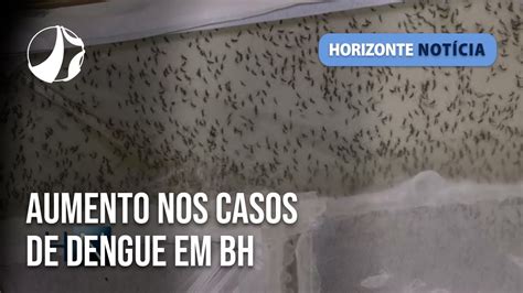 Aumento nos casos de dengue em BH Horizonte Notícia YouTube