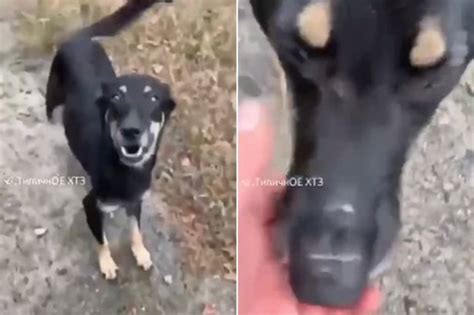 Skeletal Twins Handcuffed And Forced To Eat Faeces By Mum Flee Naked In Dead Of Night Daily Star