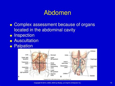 Health Assessment And Physical Examination Ppt Download