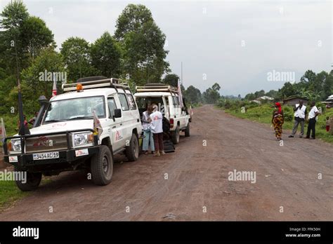 Le Parc National Des Virunga Sur La Route Entre Goma Et Rutshuru Nord