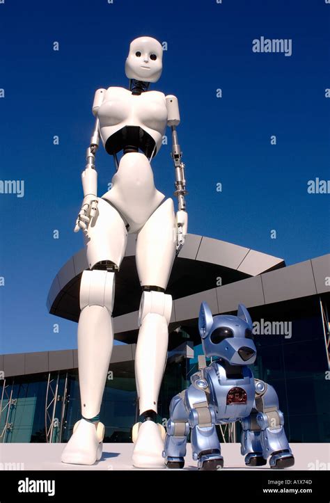 A female humanoid robot walks a robotic dog Stock Photo - Alamy