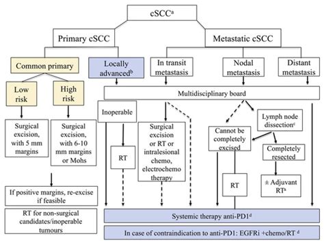 Cancers Free Full Text Recent Advances In The Diagnosis And Management Of High Risk