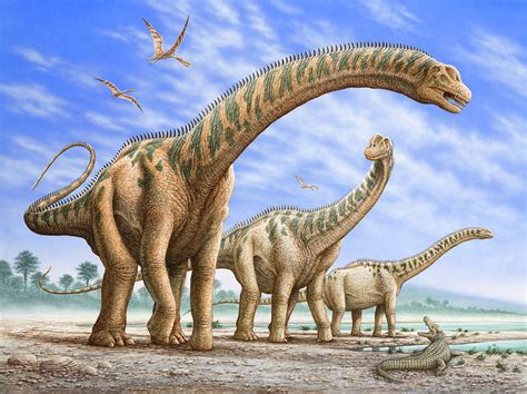 A Group Of Argentinosaurus Dinosaurs Photograph By Phil Wilson Fine