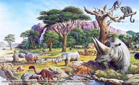 Cenozoic Era - ¨The Age of Mammals¨