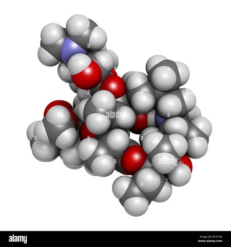 Azithromycin Antibiotic Drug Macrolide Class Chemical Structure