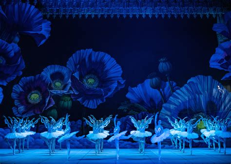 Una Bayadère Fra I Papaveri Delloppio Allopera Di Roma La Voce Di