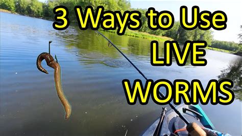 How To Catch A Fish With A Live Worm For Bait 3 Ways Beginner