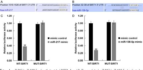 Figure 1 From Microrna 217138 5p Downregulation Inhibits Inflammatory