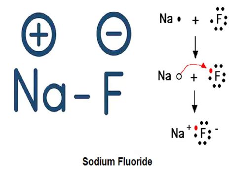 Chemical Structure Of Sodium Fluoride - Infoupdate.org