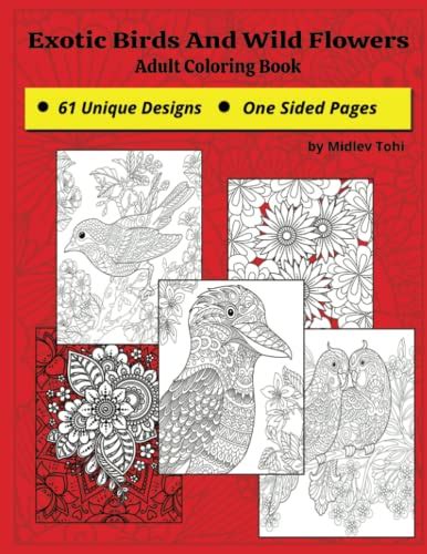 Exotic Birds And Wild Flowers Coloring Book For Adults Paperback Fun