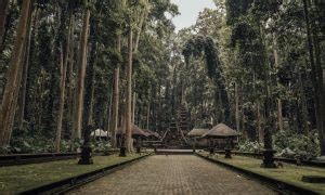 Monkey Forest Ubud Objek Wisata Favorit Di Bali De Bali