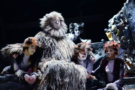 The Show - Cats the Musical - On Tour | Cat movie, Cats musical ...