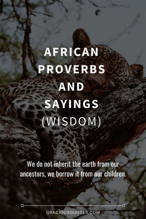 African Proverbs About Success Wisdom From The Continent