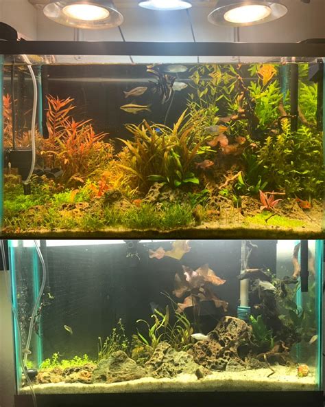 120 Best Diy Co2 Images On Pholder Planted Tank Aquariums And Aquascape