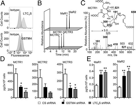 Maresin Conjugates In Tissue Regeneration Biosynthesis Enzymes In Human