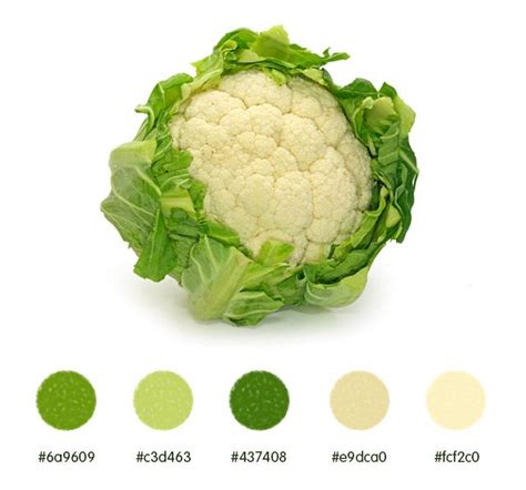 Cauliflower Color Palette Cauliflower Vegetable Prep Fresh Vegetables